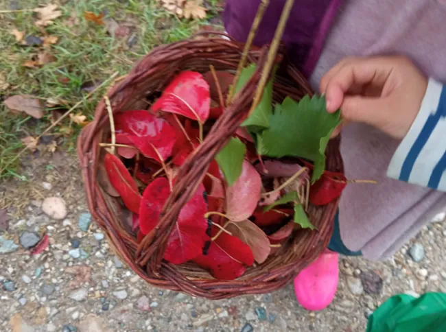 laboratorio creativo i doni del bosco