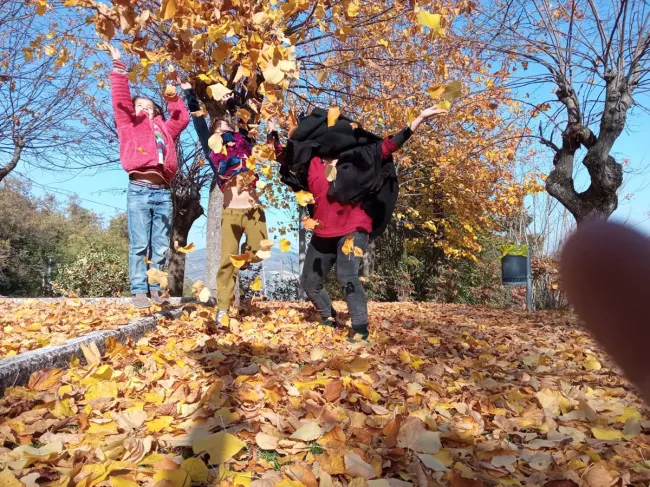 laboratorio creativo i doni del bosco