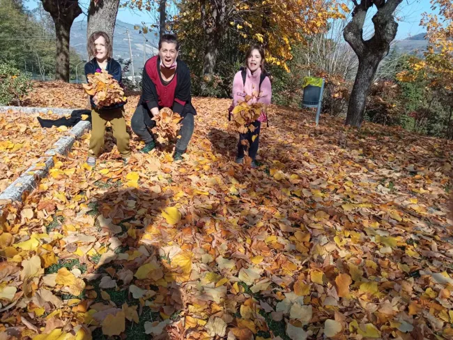 laboratorio creativo i doni del bosco