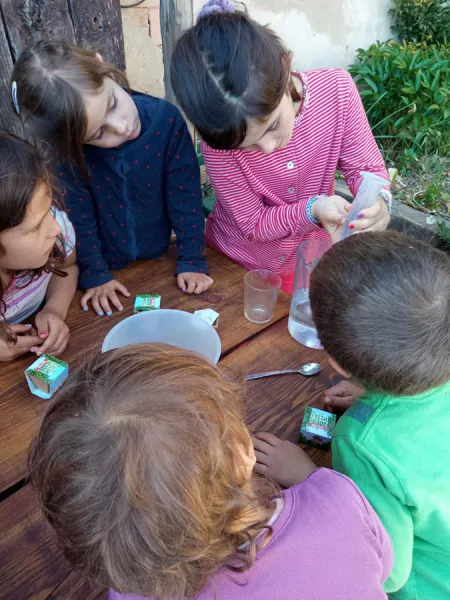 laboratorio creativo il mio piccolo orto